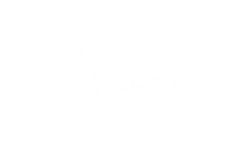 Assek